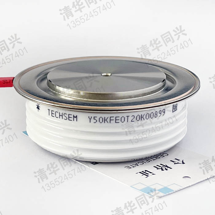 Y50KFE0T20K00899 TECHSEM湖北臺(tái)基 銷售電話：13552457401